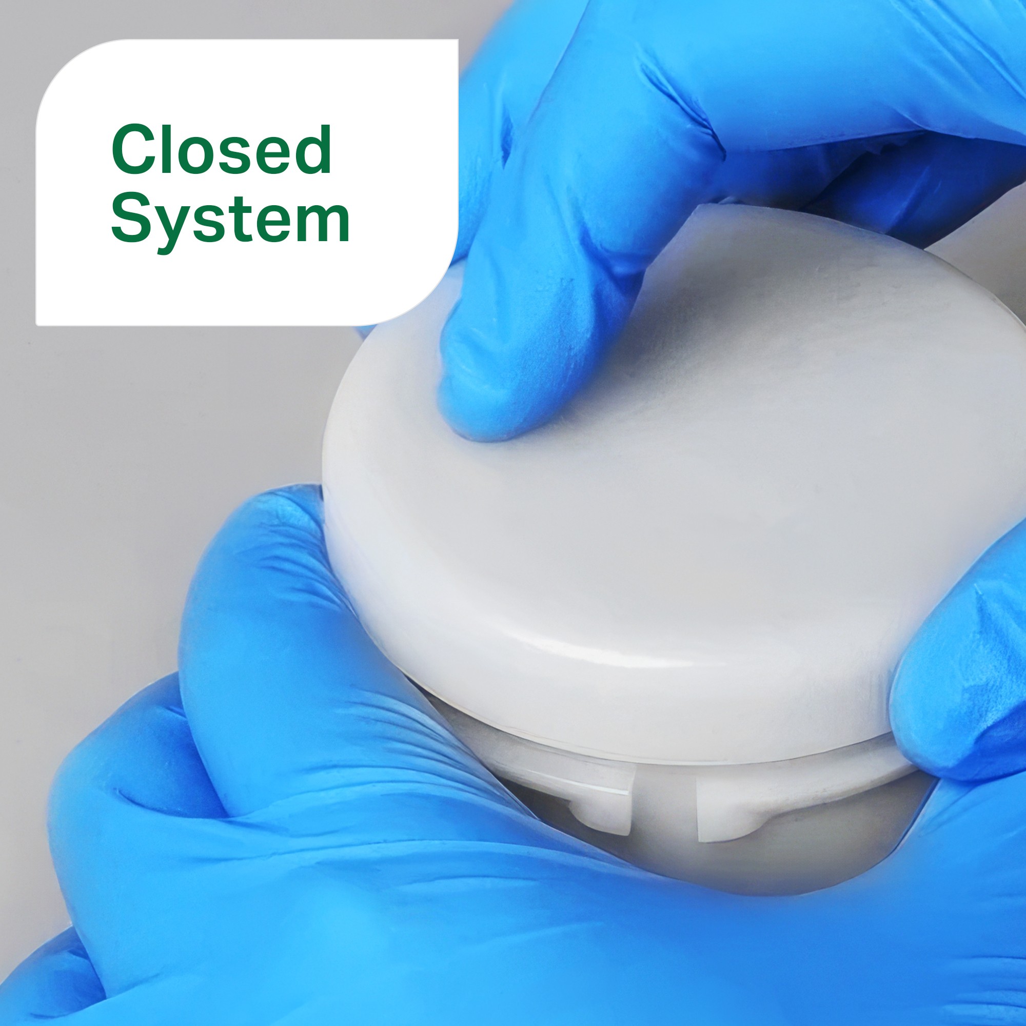 MAZ® - mélangeur KK-1000W, 1 kg x 2