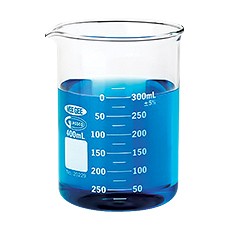 Beaker, Graduated Glass Type 1, Dual Scale, 600 mL